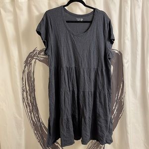 Plus size dress by Time and Tru EUC